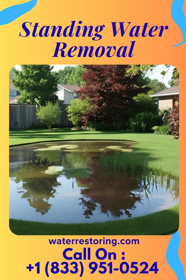 Standing Water Removal in Fox Lake Hills, IL